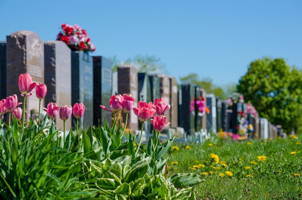 fleurs dans un cemitiere